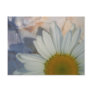 Daisy Postcard