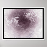 Daisy posters