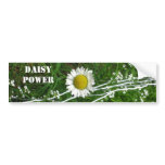 DAISY POWER bumpersticker