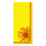 Daisy rack cards