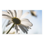 Daisy sticker