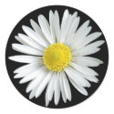 Daisy Sticker