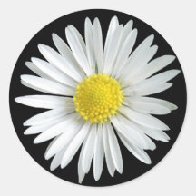 Daisy Sticker
