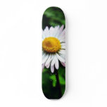Daisy White Flower skateboards