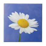 Daisy Wildflower Decorative Ceramic Tile