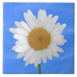 Daisy Wildflower Gift Decorative Ceramic Tile
