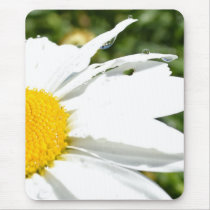 Daisy with Water Drops Mousepads