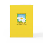 Daisy yellow Mother's Day Card
