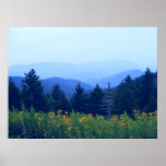 DaisyField posters