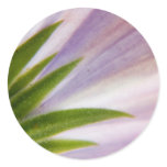 Daisy's Butt Round Sticker