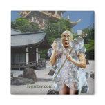 Dalai Gaga magnets