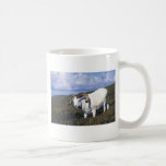 Dall sheep (Large ram grazing) Mug