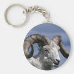 Dall sheep (Large ram) Keychains
