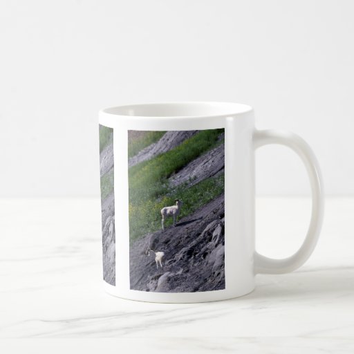 Dall sheep (Pair of young rams) Mugs