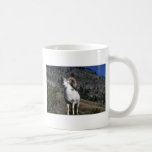 Dall sheep (Ram alert on mountain crest) Mugs