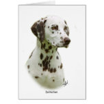 Dalmatian 9J022D-19 Greeting Card