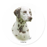 Dalmatian 9J022D-19 stickers