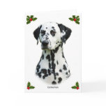 Dalmatian 9T004D-367