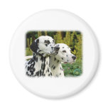 Dalmatian 9T004D-435 magnets