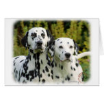 Dalmatian 9T004D-448 Cards