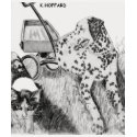 Dalmatian and Kitten t-shirts