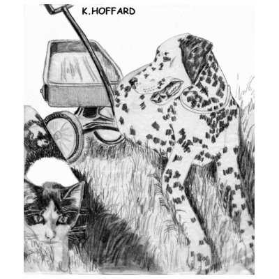 Dalmatian and Kitten Tshirt by Hoffard