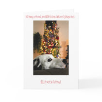 Dalmatian Dog Christmas Card