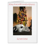 Dalmatian Dog Christmas Card