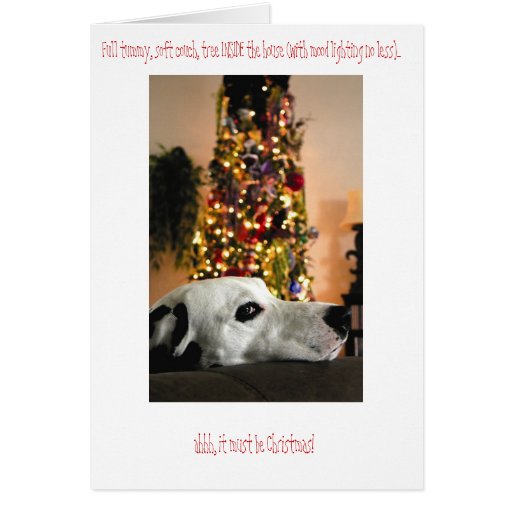Dalmatian Dog Christmas Card