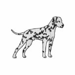 Dalmatian Embroidered Shirt