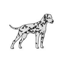 Dalmatian Embroidered Shirt
