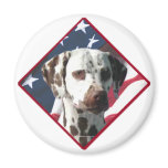 Dalmatian Flag 2 magnets