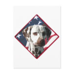 Dalmatian Flag 2 postcards