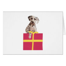Dalmatian Gift Box Greeting Card