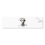Dalmatian (liver) History Design bumper stickers