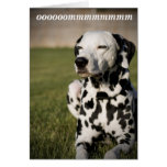 Dalmatian Meditation Greeting Card