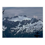 Dalmatian Mountains Postcard