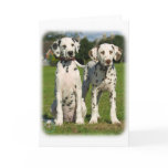 Dalmatian puppies 9A43D-10 cards
