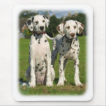 Dalmatian puppies 9A43D-10 mousepads
