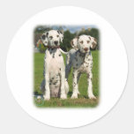 Dalmatian puppies 9A43D-10 Round Stickers