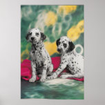 Dalmatian Puppies Poster posters