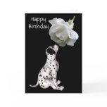 Dalmatian Puppy And White Rose Birthday Card