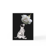 Dalmatian Puppy And White Rose Note Card