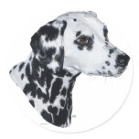 Dalmatian stickers