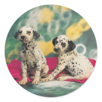 Dalmatian Stickers