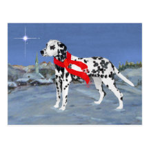 Dalmatian Winter Night Postcard