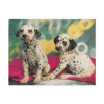 Dalmation Puppies postcards