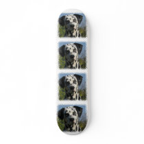 Dalmation Skateboard