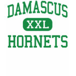 Damascus - Hornets - High - Damascus Maryland t-shirts