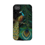 Damask Peacock & Feather You Choose Colour casemate cases
